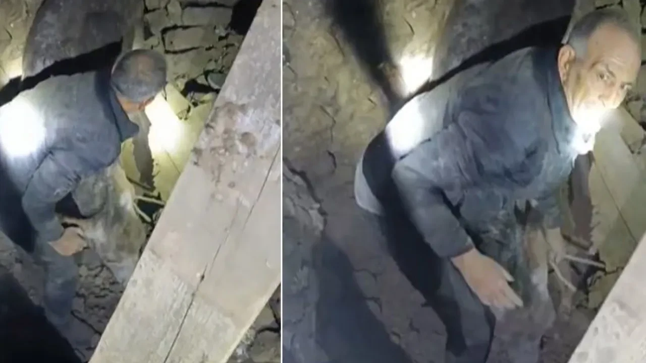 Depremde enkaz altında kalan eşek yoğun çabayla kurtarıldı