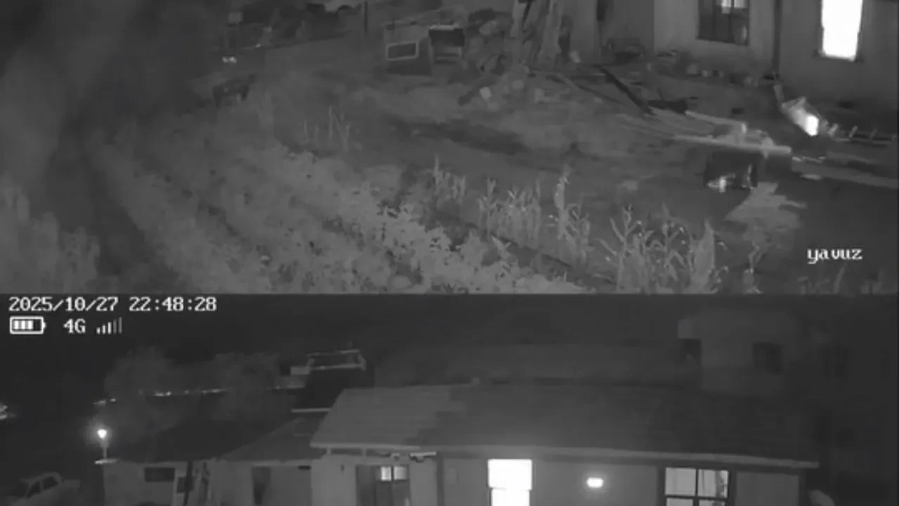 Korku filmini aratmayan görüntüler! Deprem böyle salladı 