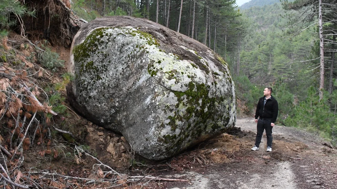Mantar toplamaya gitmişti, depremin bıraktığı hasarı gördü