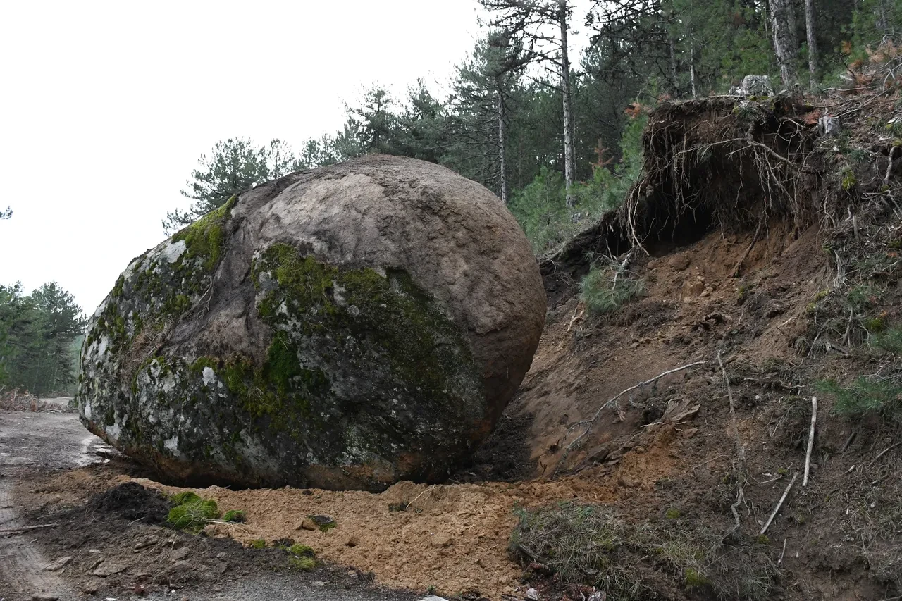 Mantar toplamaya gitmişti, depremin bıraktığı hasarı gördü