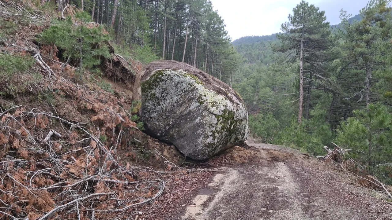Mantar toplamaya gitmişti, depremin bıraktığı hasarı gördü