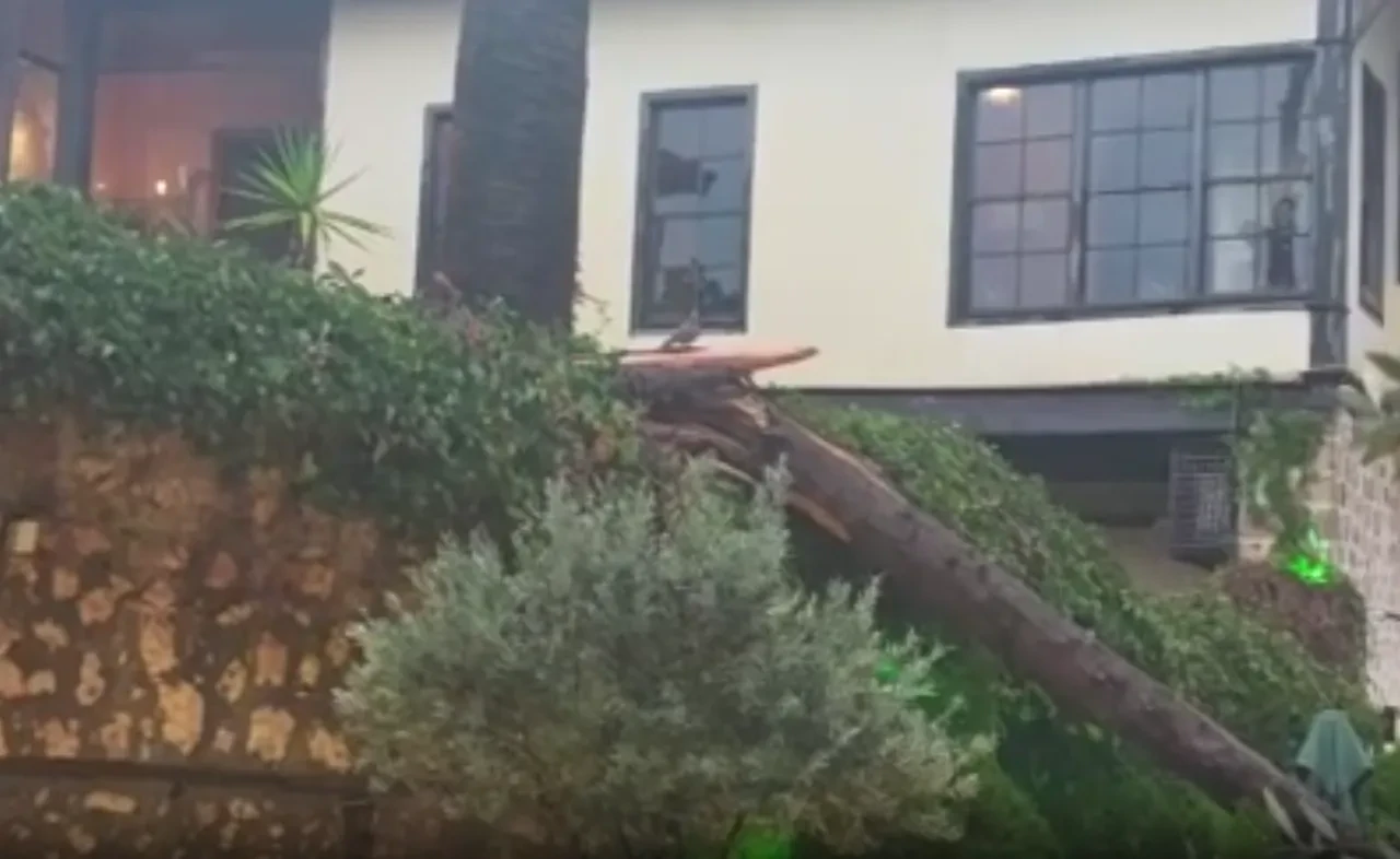 Antalya'da sağanak felakete neden oldu! 3 kişi ağaç altında kaldı