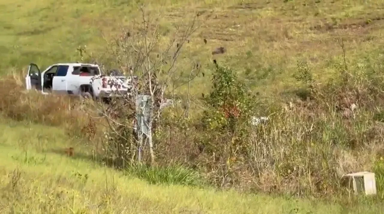 Hastalıklı maymunlar firarda! Vatandaşlara 'sakın yaklaşmayın' uyarısı!