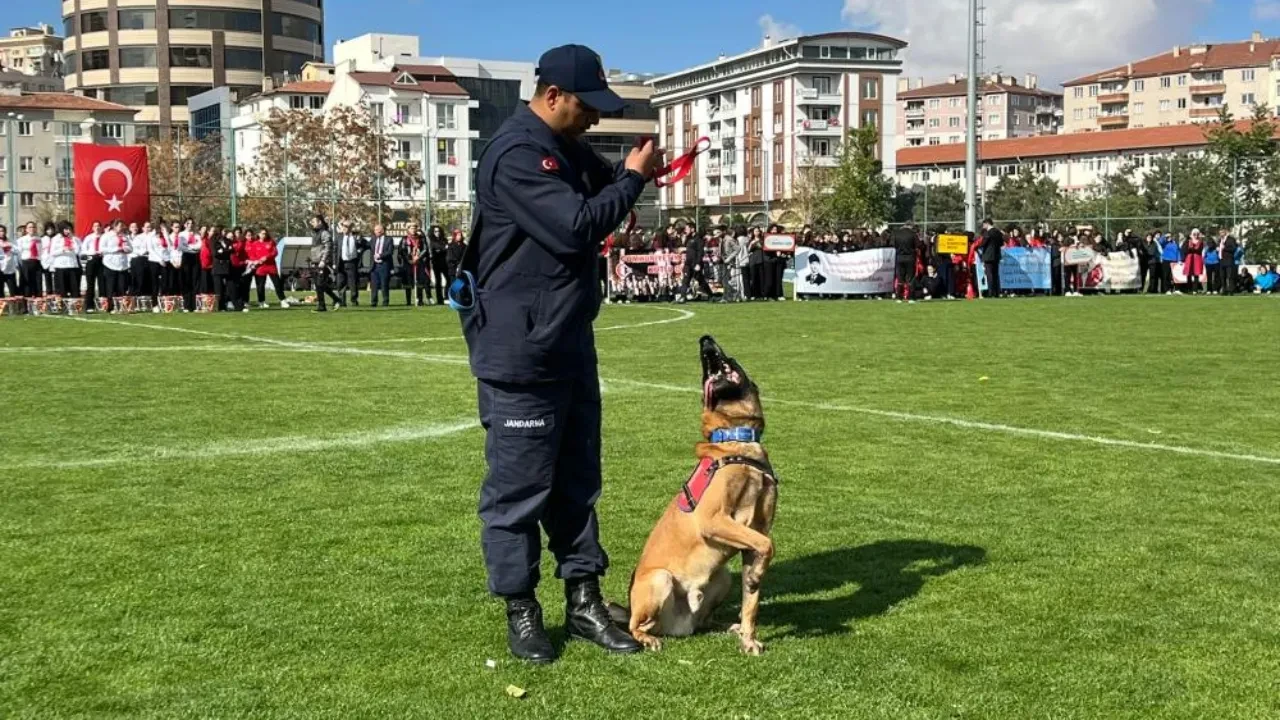 İtaat köpeği Nefes'ten nefesleri kesen performans