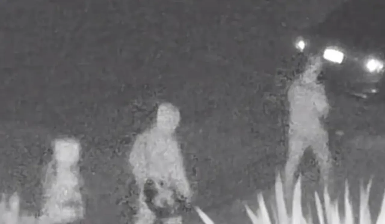 Sürekli aşağılayan, kötü davranan patronlarını kaçırıp öldürdüler!