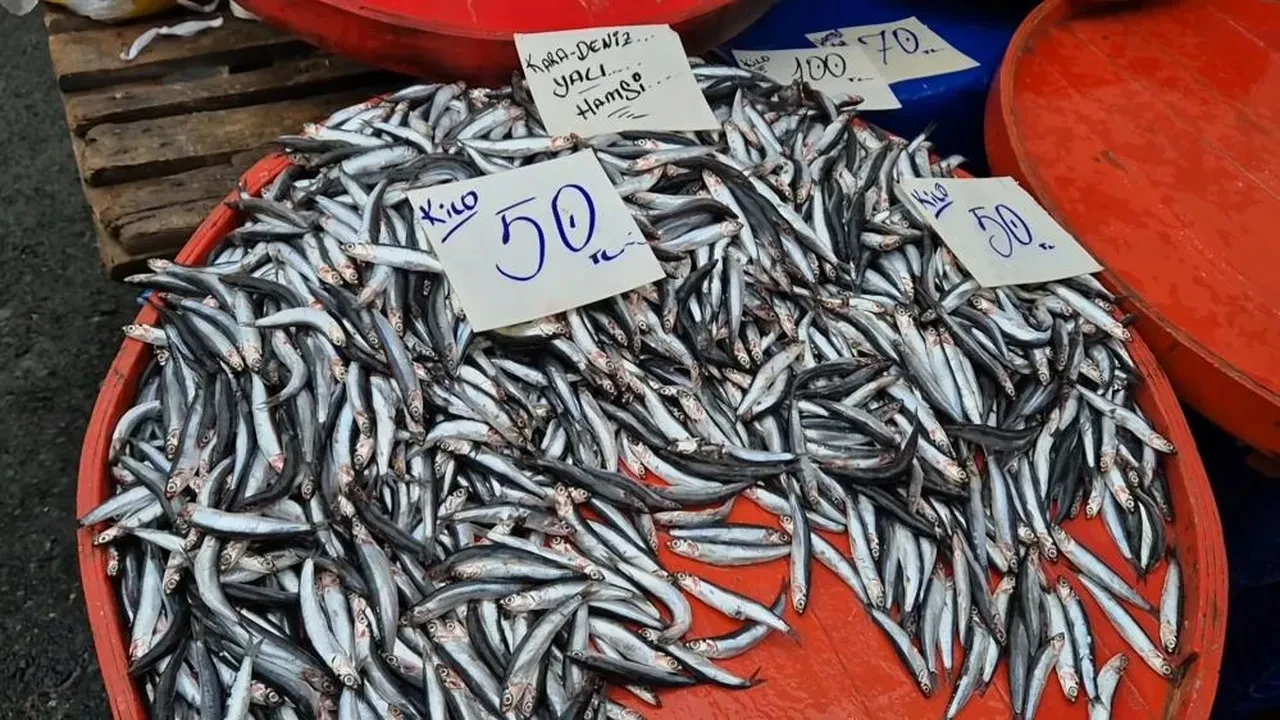 Vatandaş hamsiye dolacak! Kilosu sigaradan bile ucuz