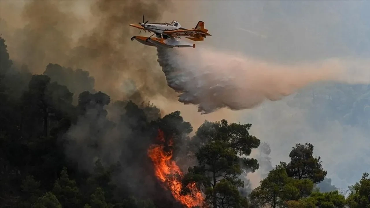 Yapay zeka orman yangınları ile mücadelede kritik rol oynuyor