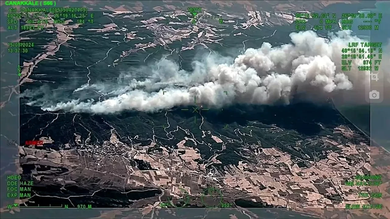 Yapay zeka orman yangınları ile mücadelede kritik rol oynuyor