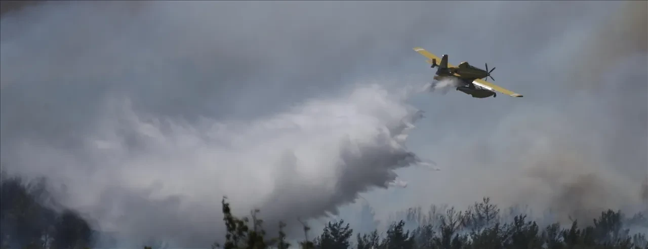 Yapay zeka orman yangınları ile mücadelede kritik rol oynuyor