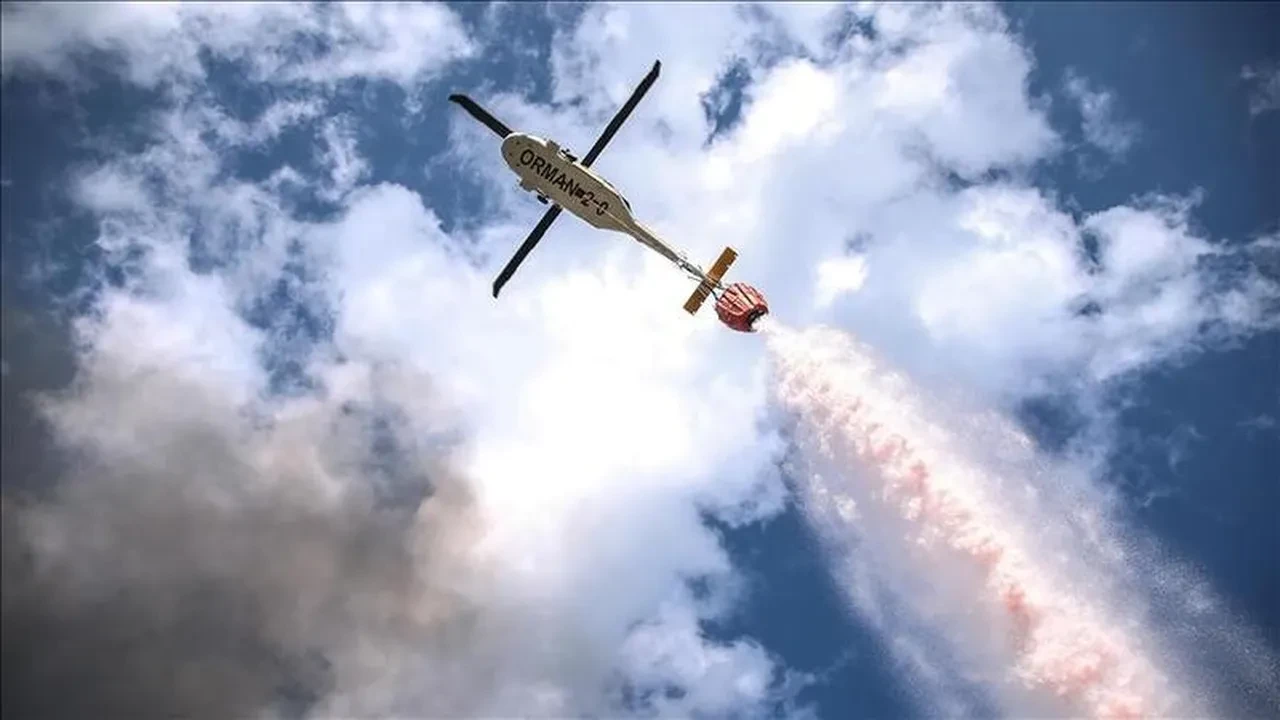 Yapay zeka orman yangınları ile mücadelede kritik rol oynuyor