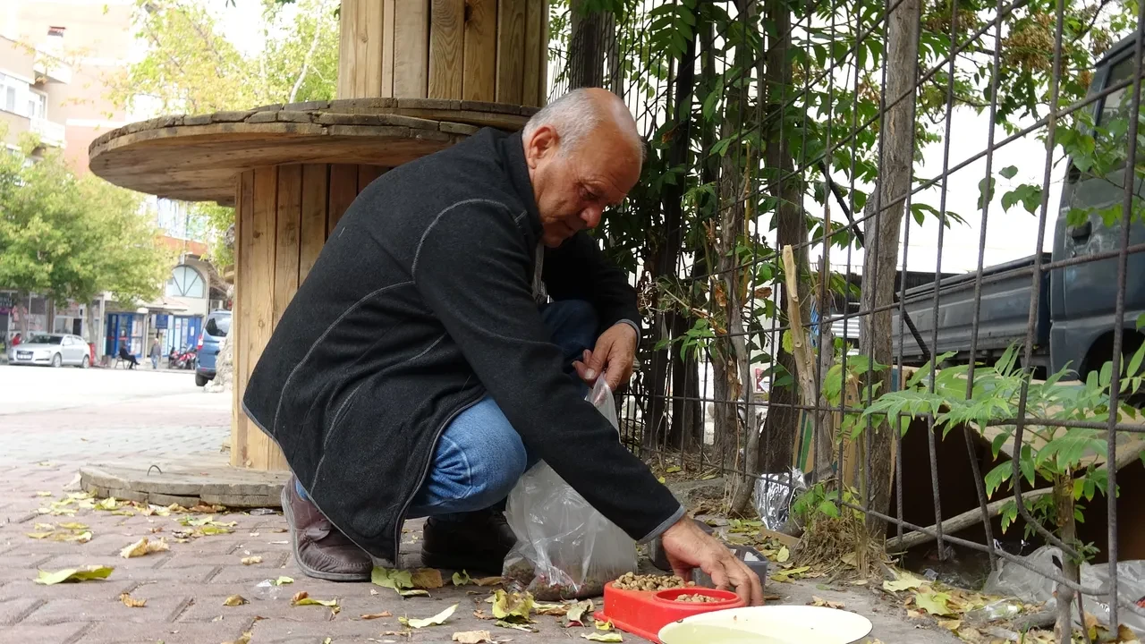 Başıboş sokak köpeği dehşeti bitmiyor! Şefkatle yaklaştı, kolunu kaptırdı