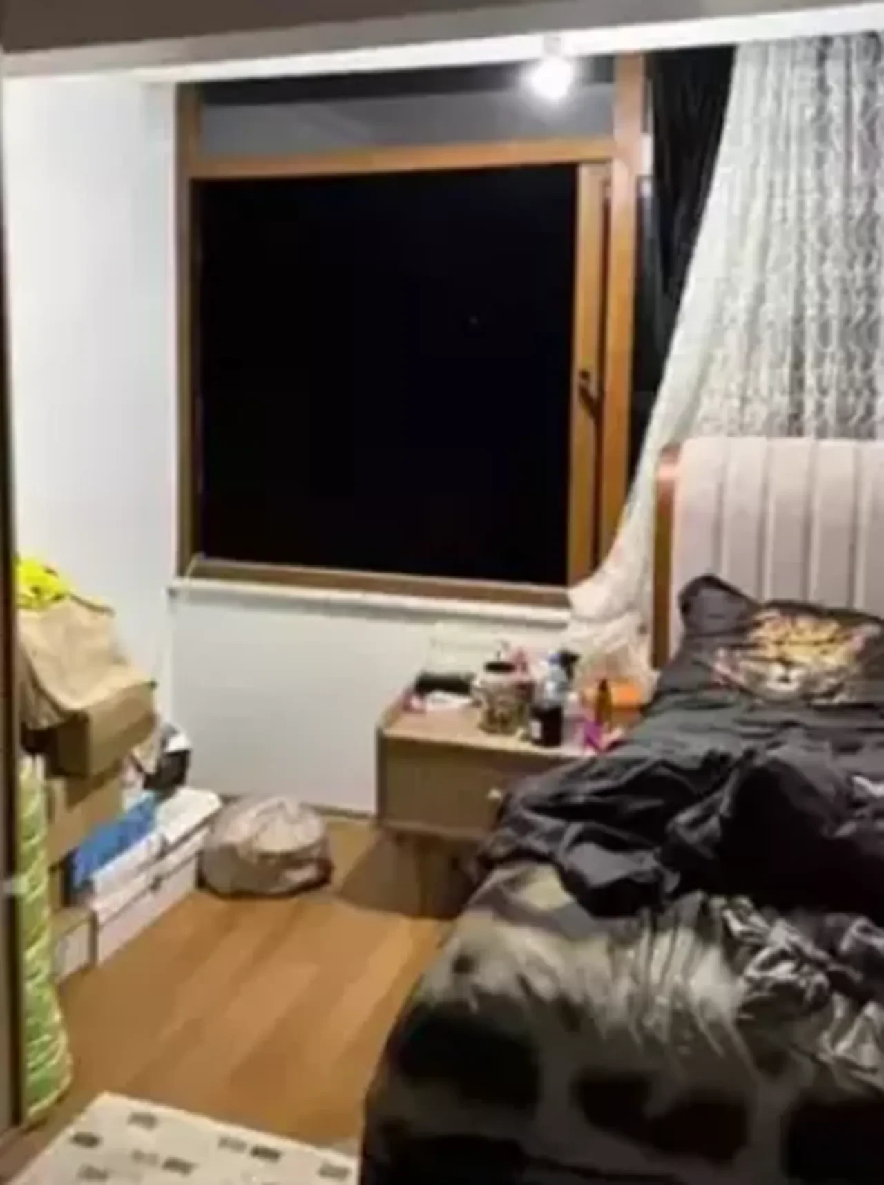 Güllü soruşturmasında oğlu ve kızı ifade verdi! Kardeşlerden acı açıklama