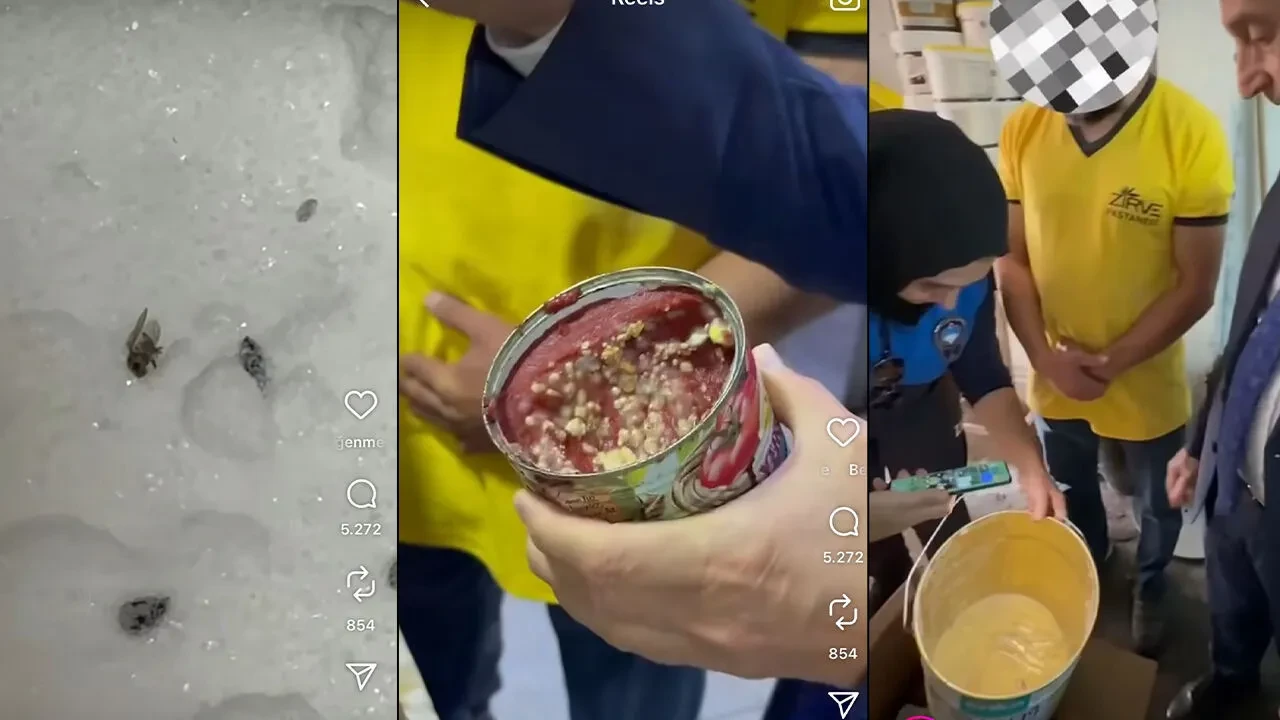 Mide bulandıran görüntüler! Sinek ölüsüne 'çörek otu' savunması