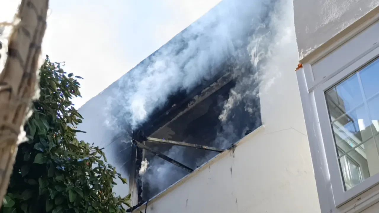 Yangında küle dönen odadan sağlam çıktı: Kedinin saklandığı yer dikkat çekti