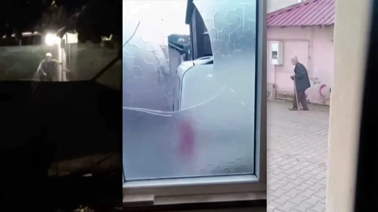 Yaşlı çift komşularının kabusu oldular! Sokakta böyle terör estirdiler