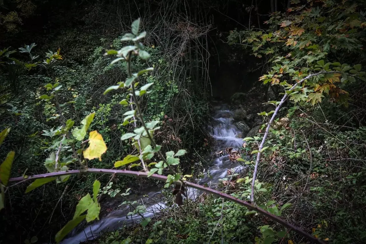 Bir il bunu konuşuyor! Depremin ardından esrarengiz olay