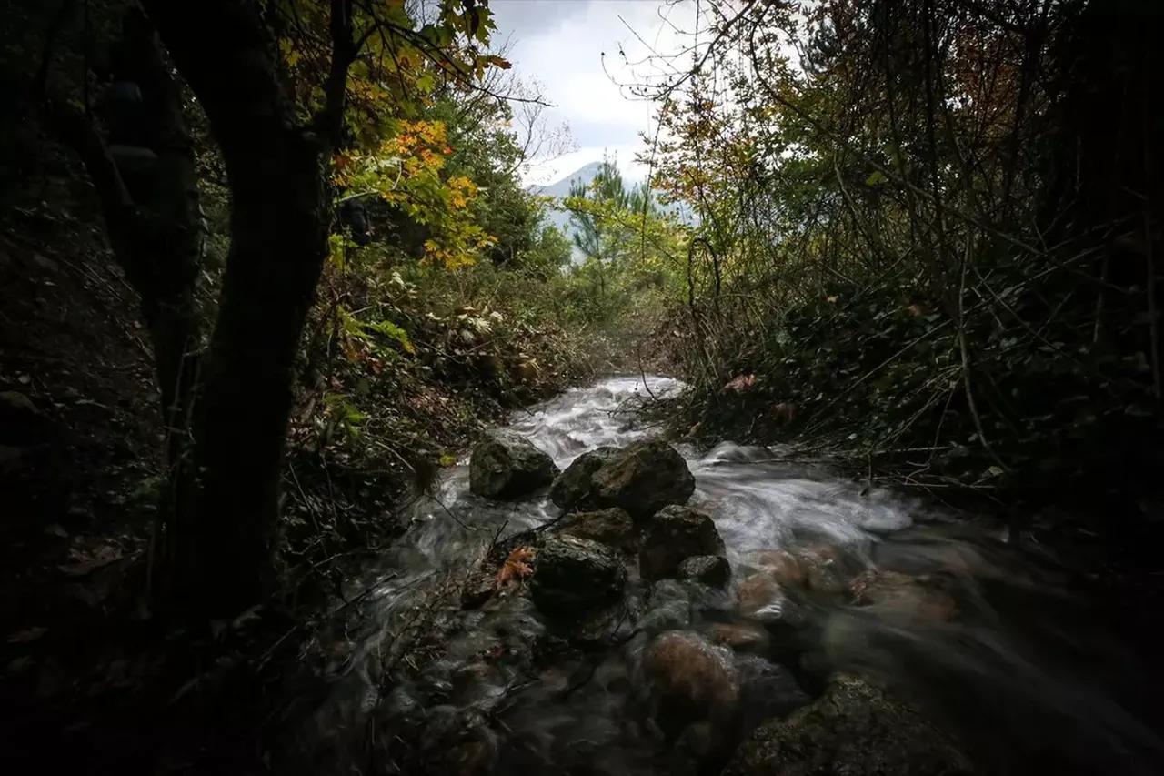 Bir il bunu konuşuyor! Depremin ardından esrarengiz olay
