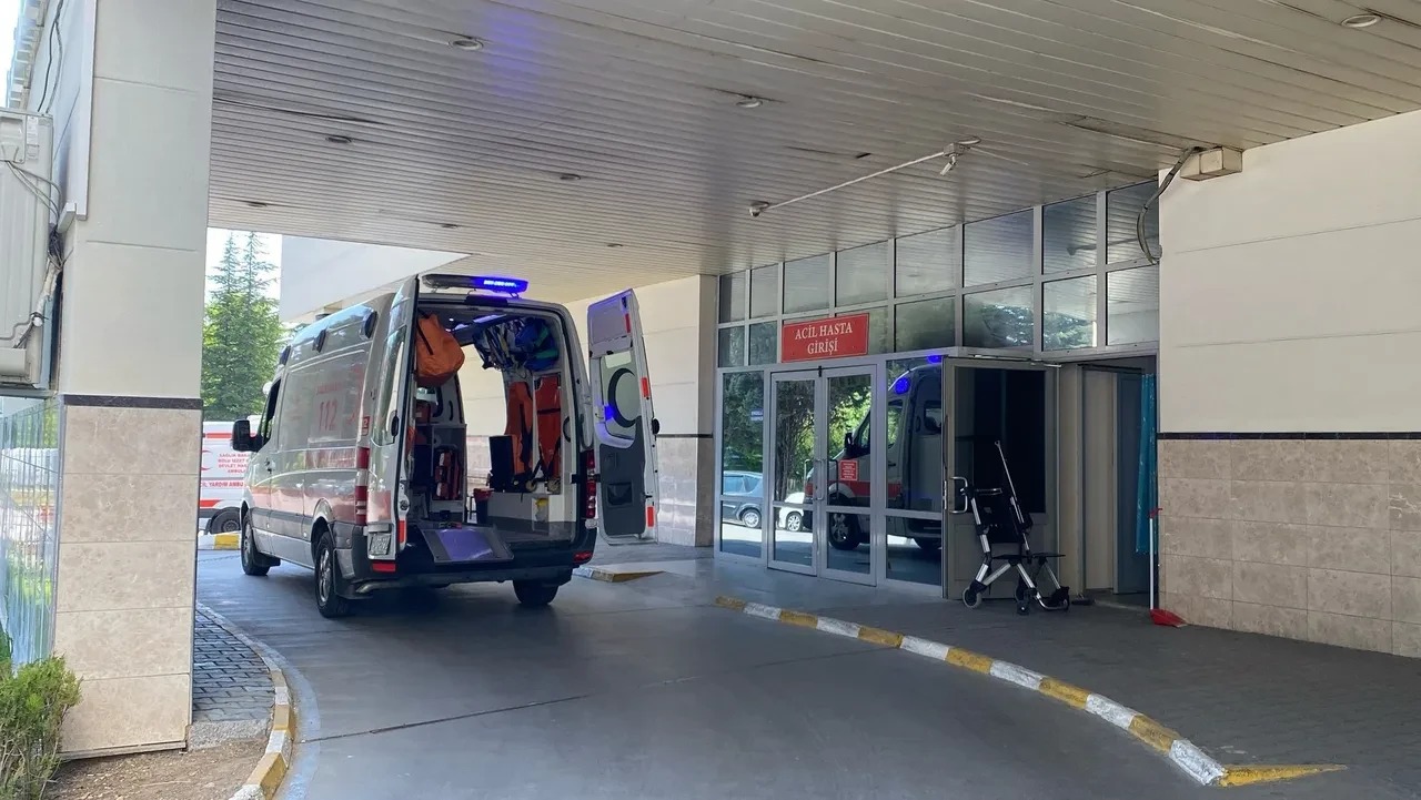 Deli dana hastalığı nedir belirtileri neler? Bolu'da bir hastada tespit edildi