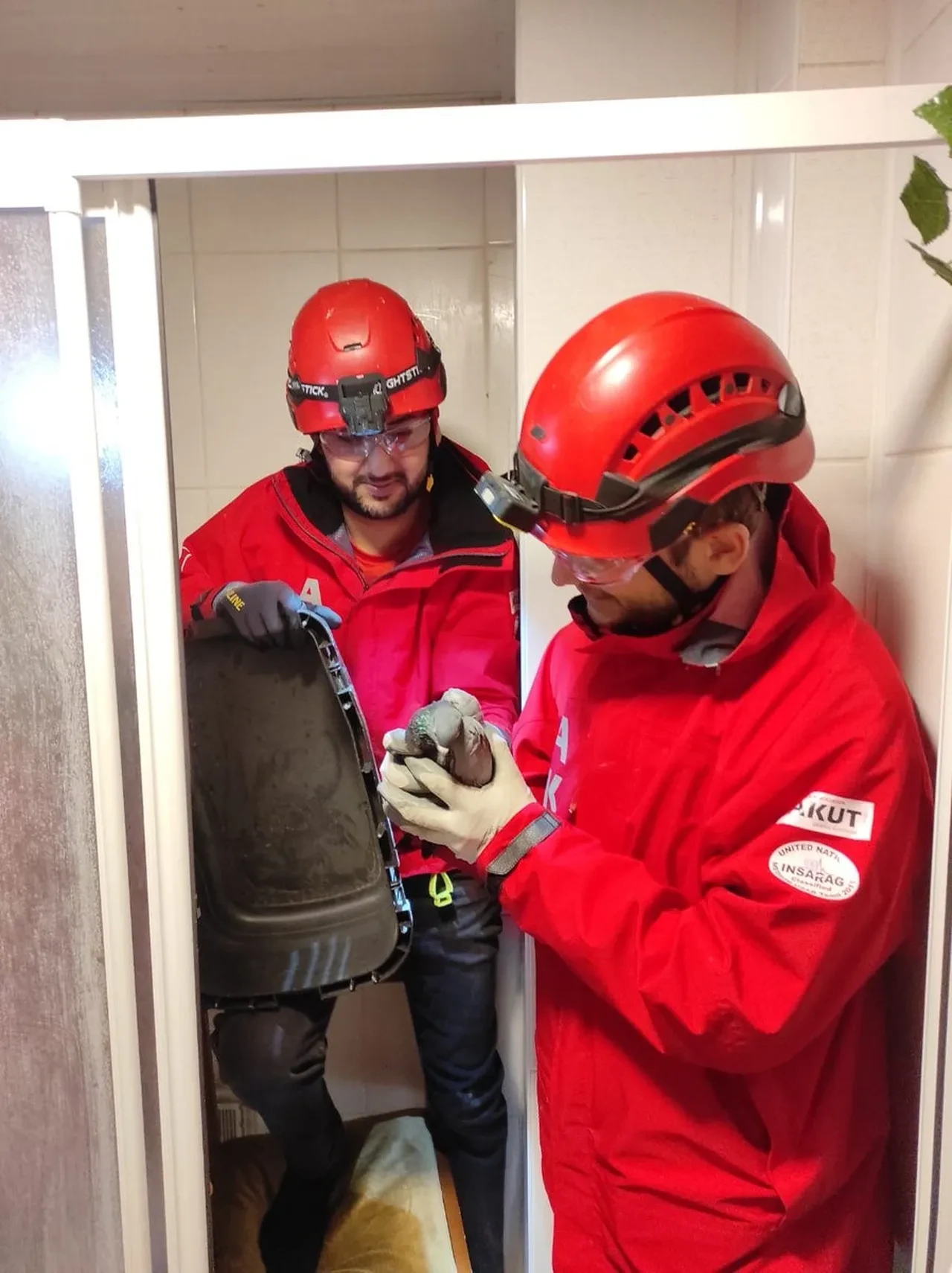 Günlerce aç ve susuz kaldı, ekipler seferber oldu! 29 Ekim'de özgürlüğe uçtu