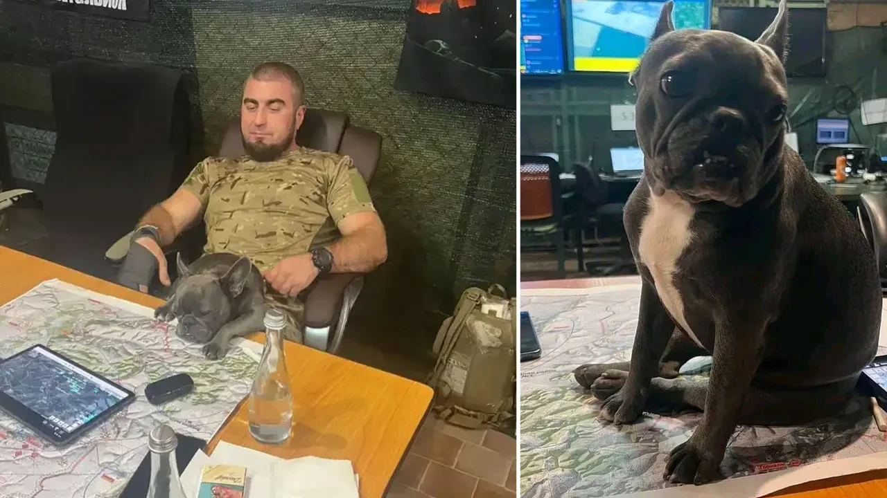 Köpeğini paylaşmak isterken ülkesini ifşa etti! Ukraynalı komutanın hatası ülkeyi ayağa kaldırdı