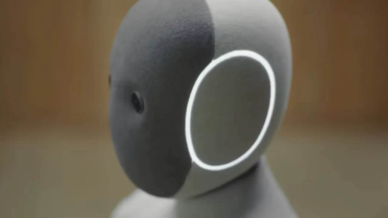 Neo Robot Türkiye ön sipariş satışı var mı? Fiyatı açıklandı