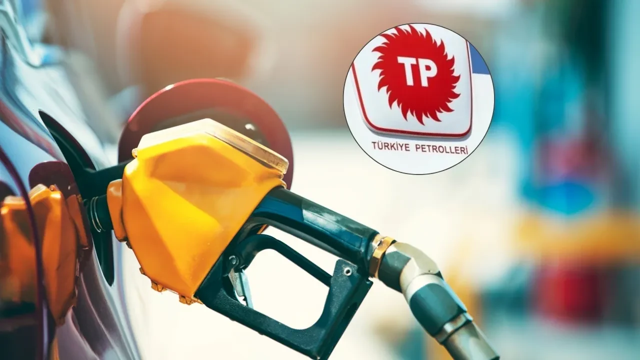 Türkiye Petrolleri Anonim Ortaklığı: Adı geçen firmanın TPAO ile hiçbir ilişkisi bulunmamaktadır