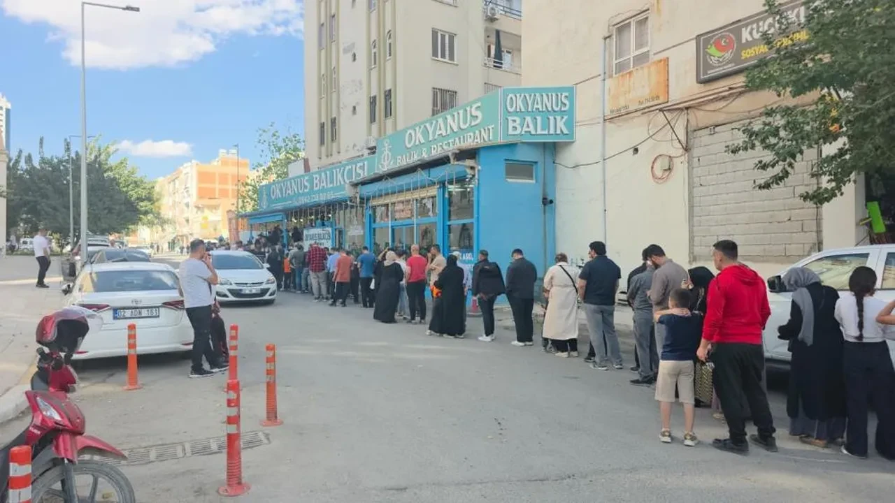 Ucuz hamsiye hücum! Kuyruğun başı var sonu yok: Vatandaş hamsiye doyacak