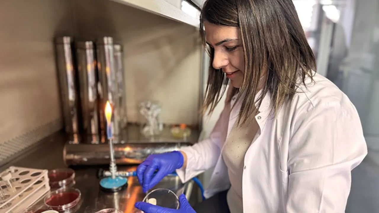 Yiyeceğin bozulup bozulmadığını renkle bildiren buluş tescillendi