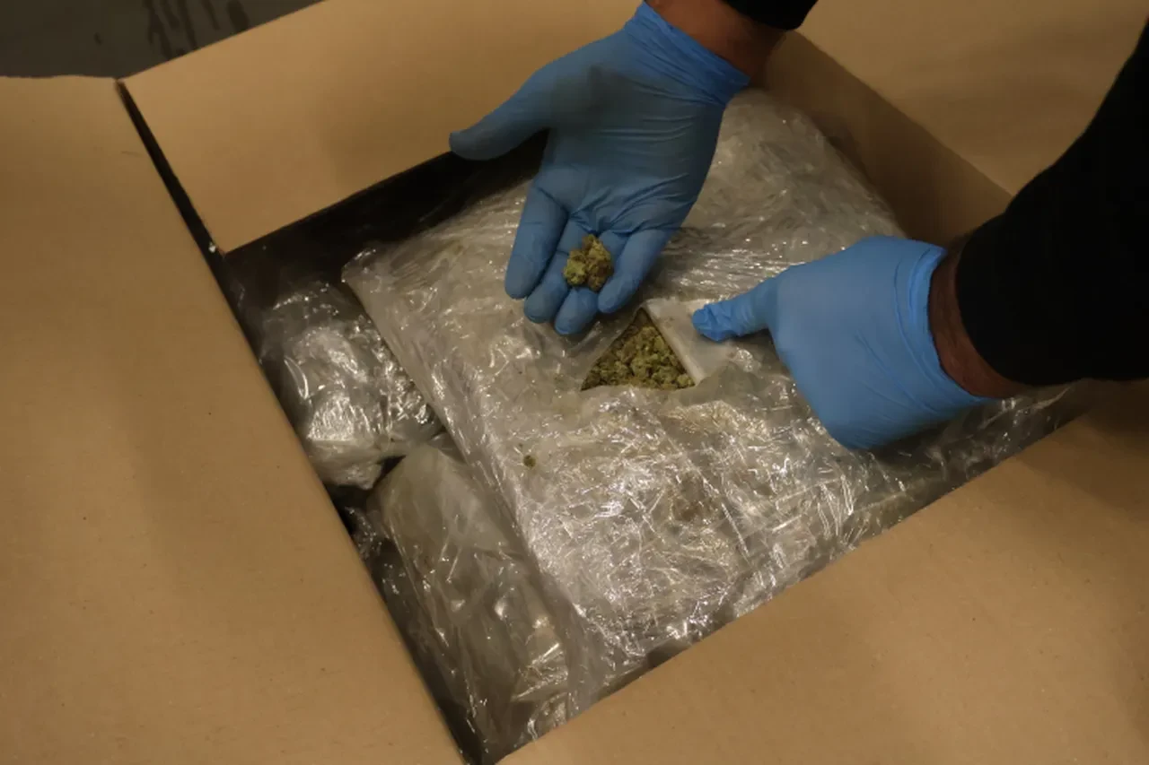 Zehir tacirlerine geçit yok! Sınırda dev uyuşturucu operasyonu: Değeri tam  320 milyon lira 