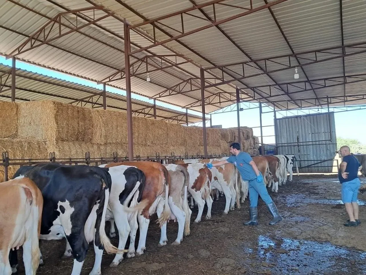 Aydın'da korkutan haber! 13 mahalle karantinaya alındı