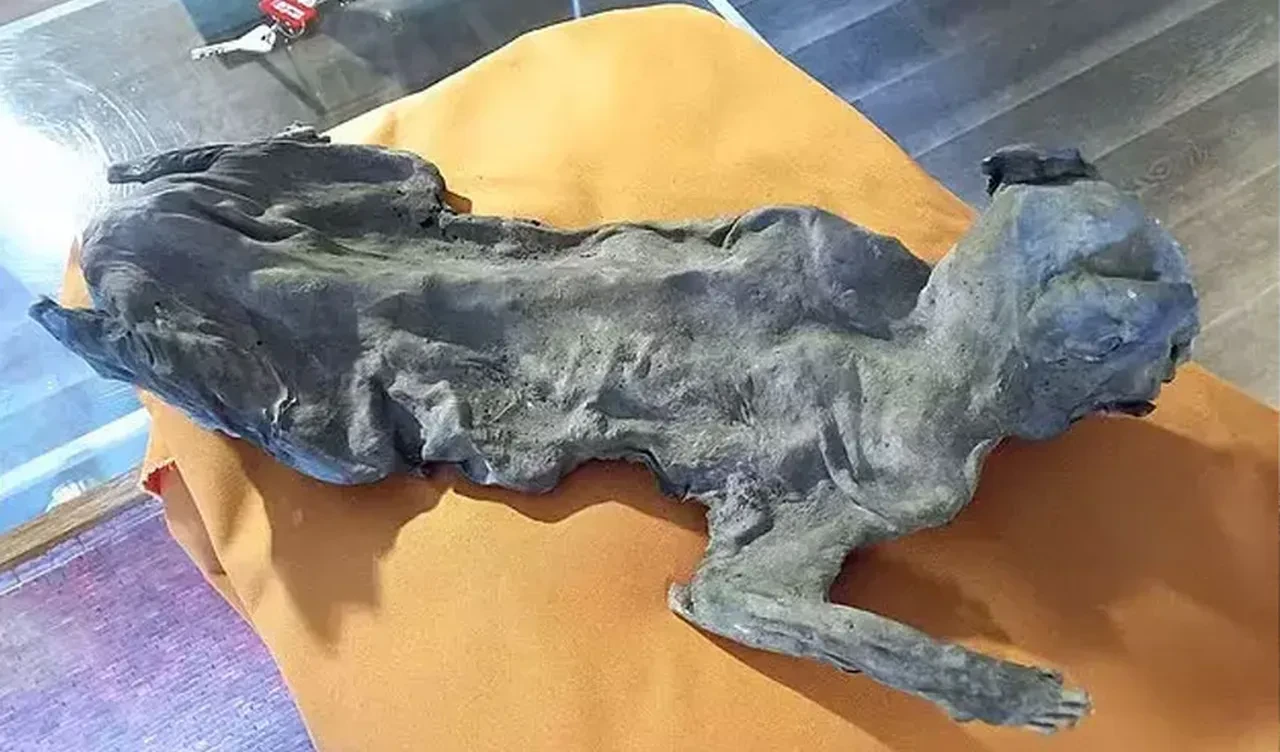 Geçmişe dair yeni gizemli bir halka: Kilise duvarları arasından çıktı, herkesi şoke etti