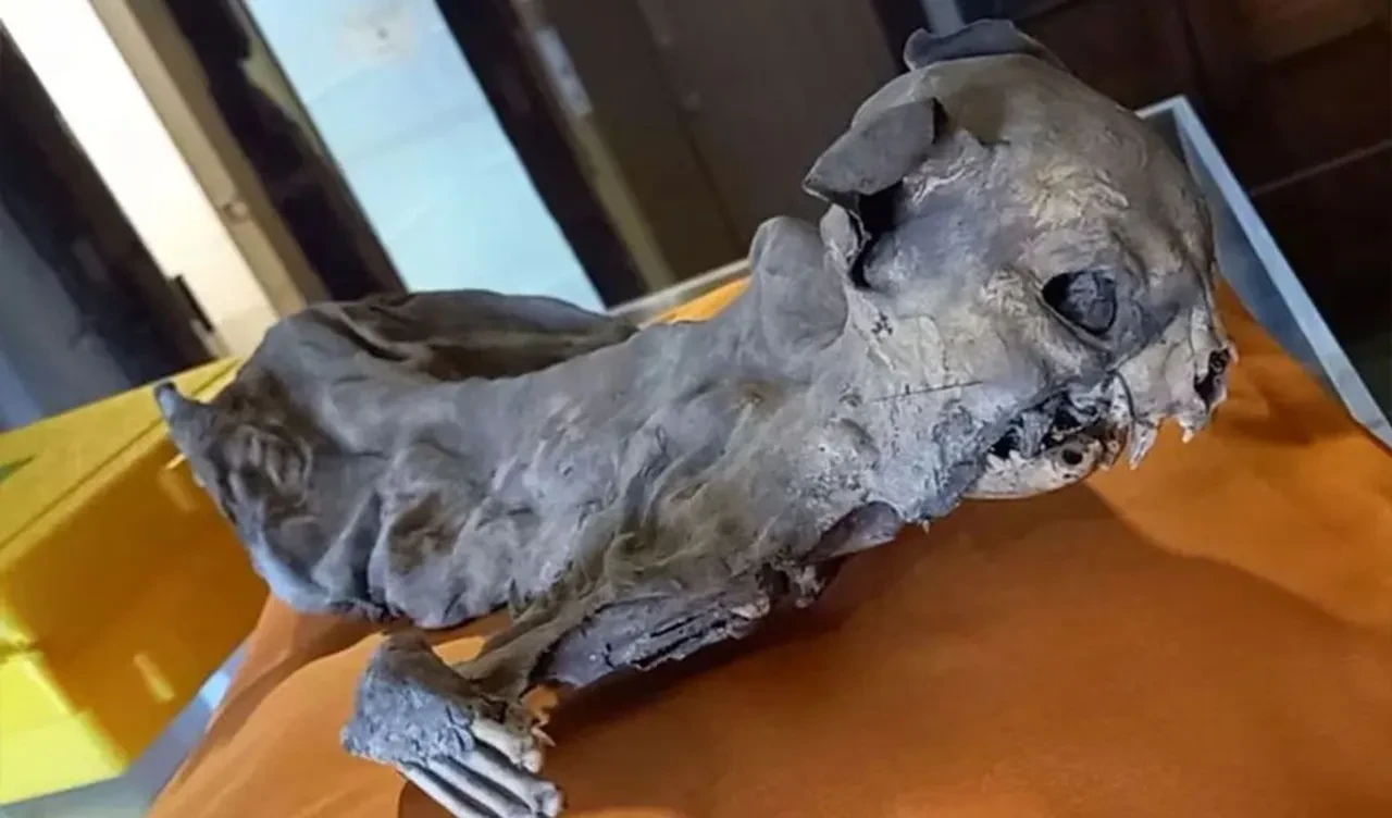 Geçmişe dair yeni gizemli bir halka: Kilise duvarları arasından çıktı, herkesi şoke etti