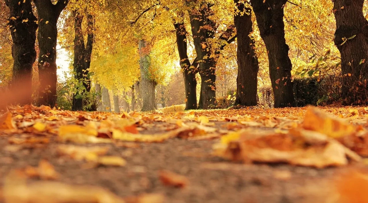 Kasım ayı ile ilgili sözler