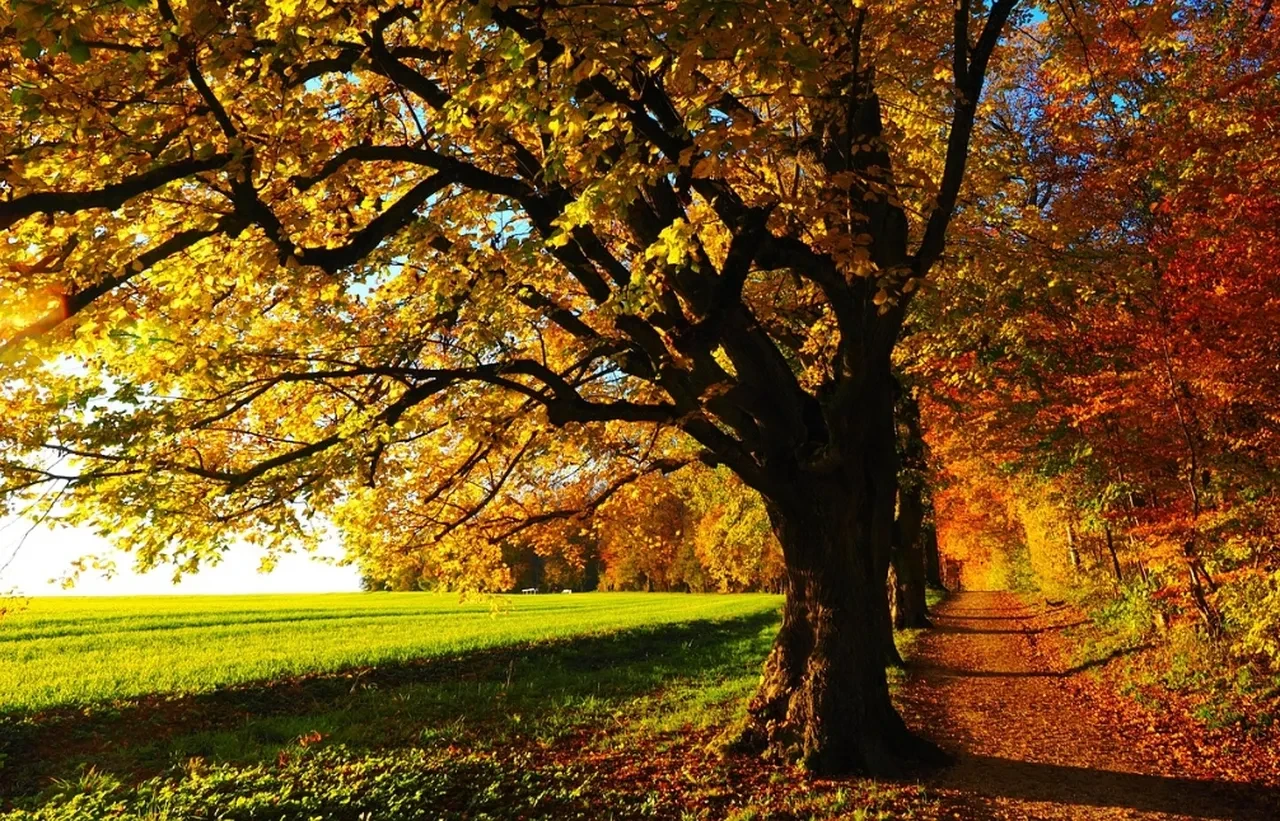 Kasım ayı sözleri