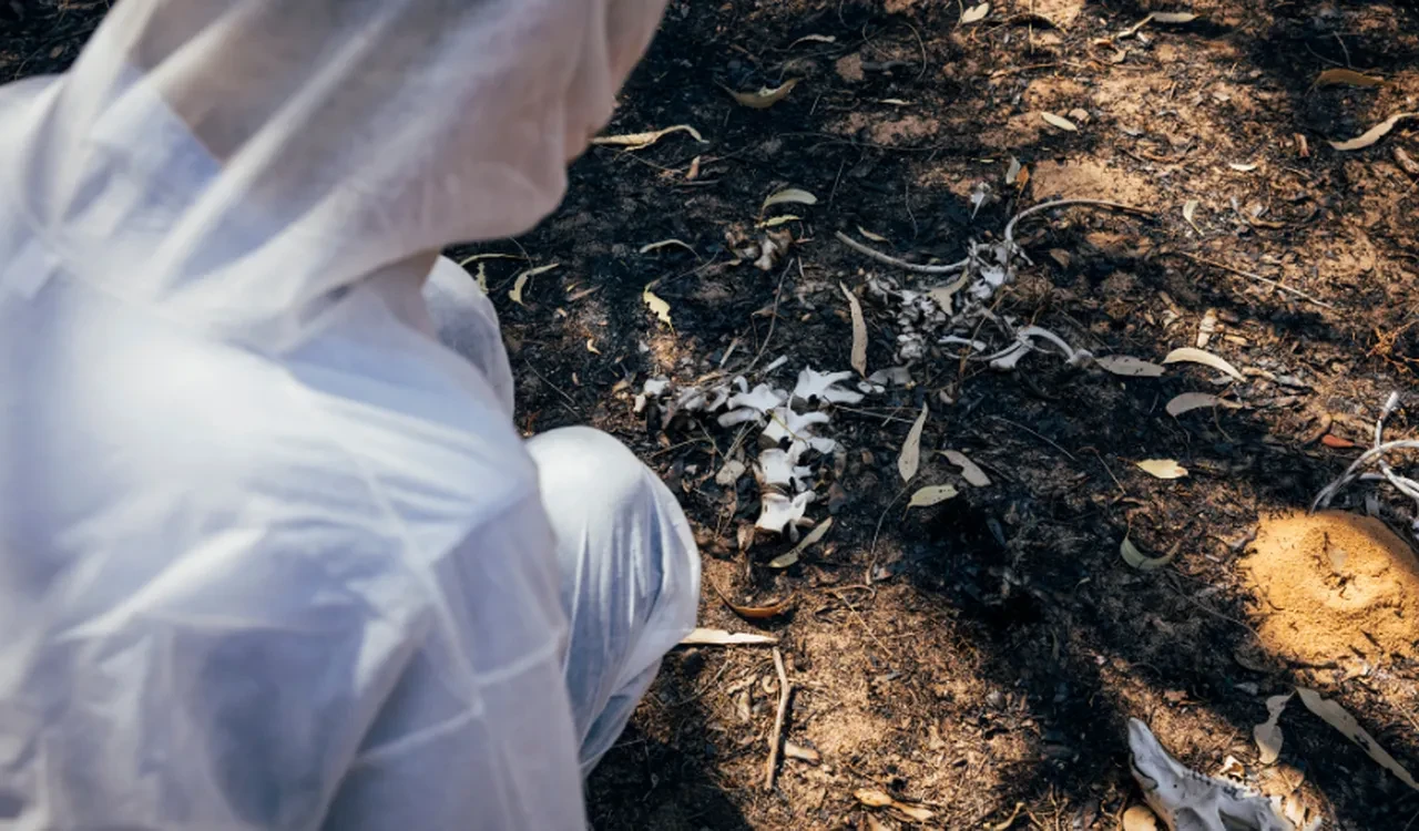 Bebek otopsileri ve denizdeki cesetler: Adli Tıp uzmanından tüyler ürperten açıklama