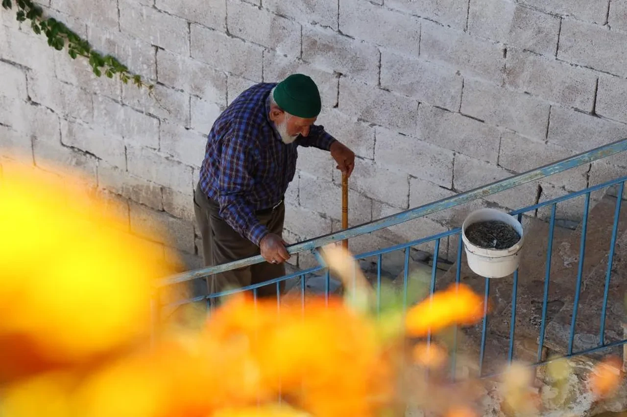 Bir asırlık Mahmut dede sağlıklı yaşamın sırrını açıkladı! Her gün kaşık kaşık yiyor