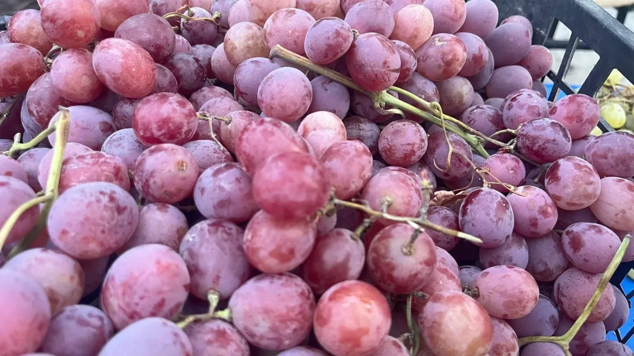 Bu eşsiz lezzetler iz bırakıyor! Pazarda satışa çıktı: Kilosu 60 TL