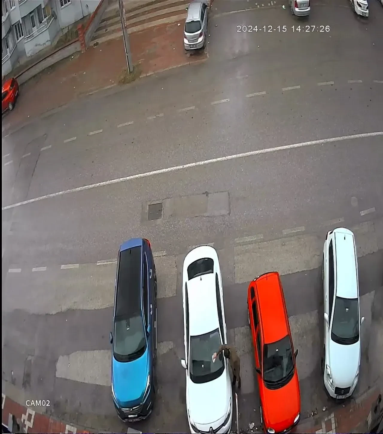 Bursa'da komşu terörü! Mahallelileri bile hayattan bezdirdi