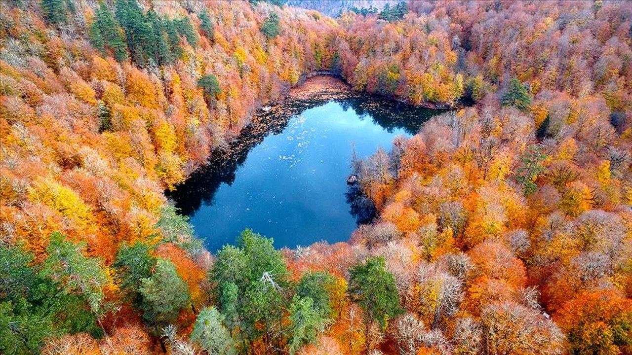 DKMP açıkladı: On iki yılda 72 bin can kurtarıldı
