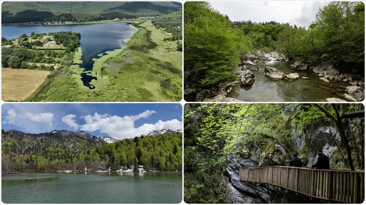 DKMP açıkladı: On iki yılda 72 bin can kurtarıldı