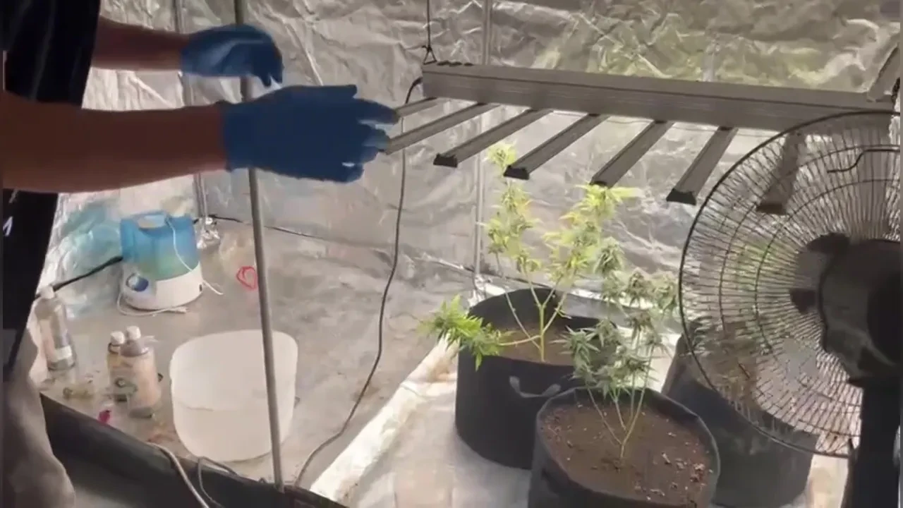 Evini zehir fabrikasına çevirdi! Suçüstü yakalandı