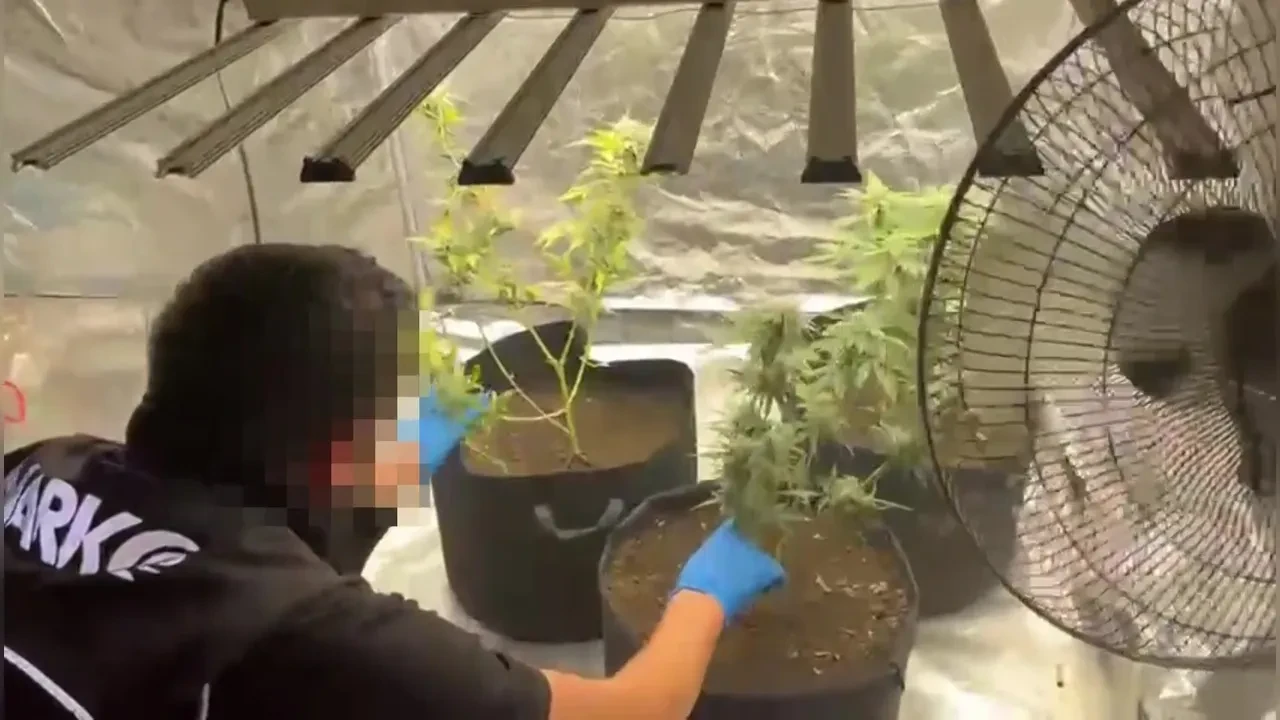 Evini zehir fabrikasına çevirdi! Suçüstü yakalandı