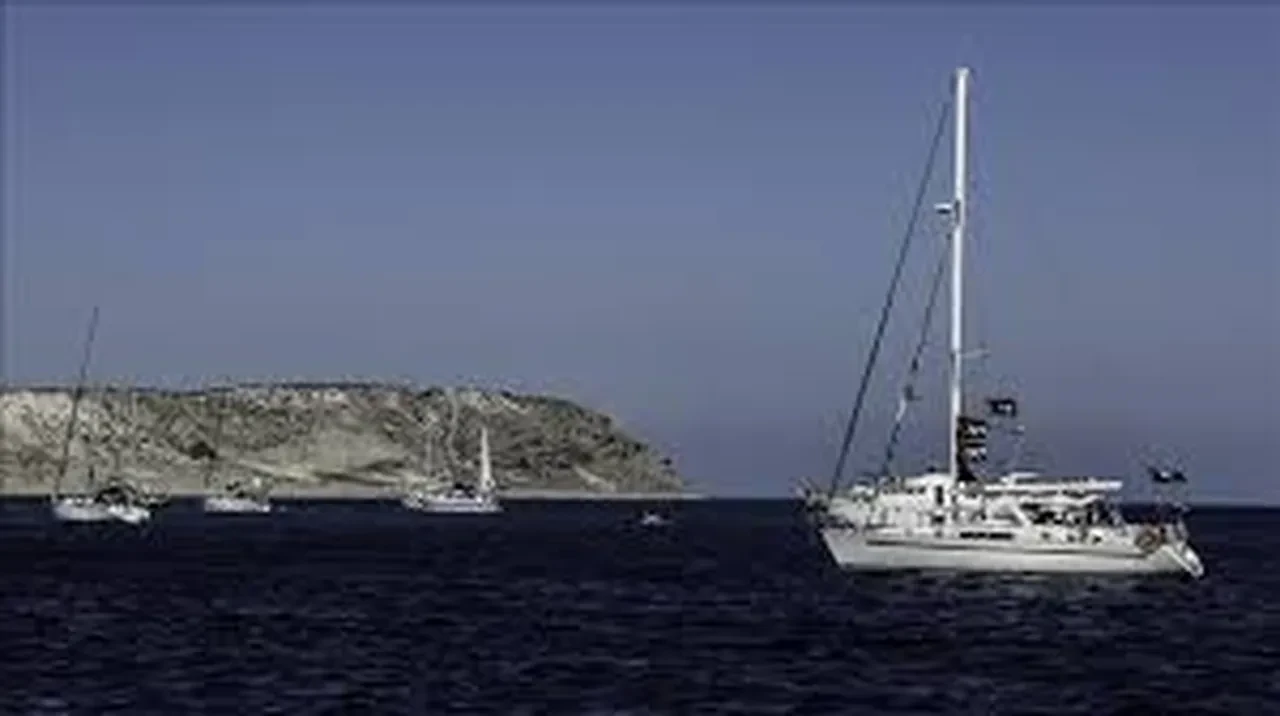 İstanbul’a gelen uçakta hangi aktivistler var? Uçaktaki Türk aktivistlerin isimlerinin listesi