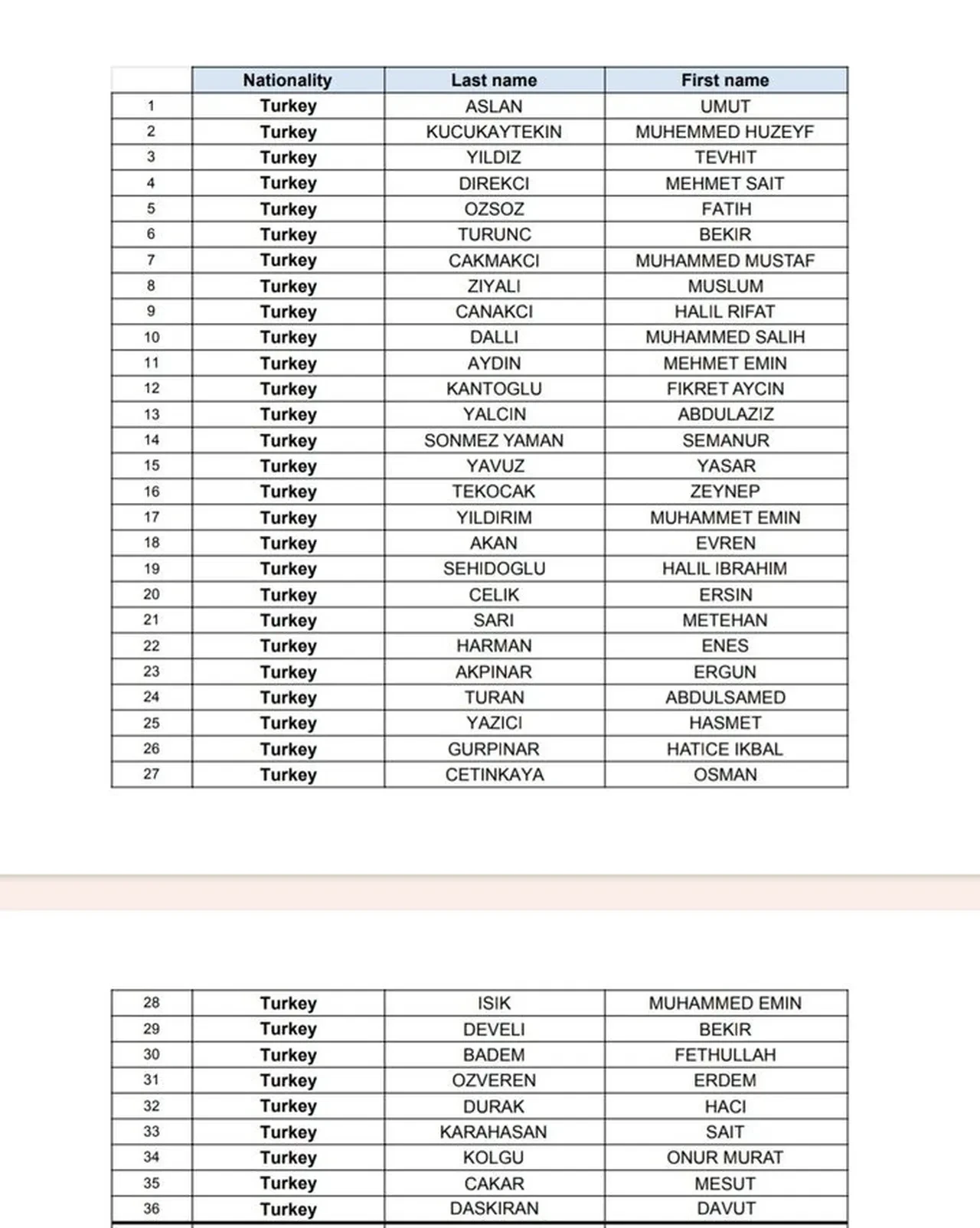 Sumud Filosu uçağı İstanbul'da: 36'sı Türk 137 aktivist geldi