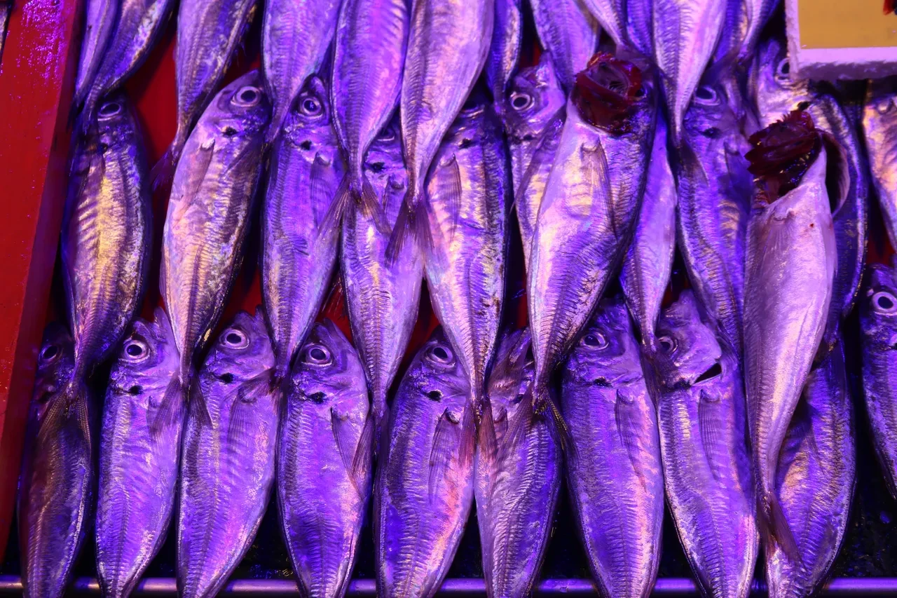 Balıkla adam dövdüler! İade etmek istedi, parmağından oldu: 'Bana çupra ile vurdular!' 