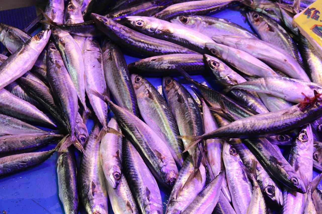 Balıkla adam dövdüler! İade etmek istedi, parmağından oldu: 'Bana çupra ile vurdular!' 