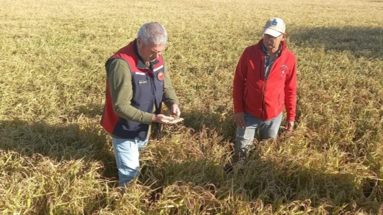 Çanakkale’de bahçeleri dolu vurdu!