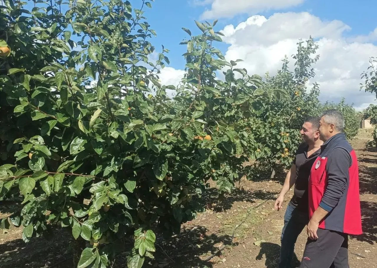 Çanakkale’de bahçeleri dolu vurdu!