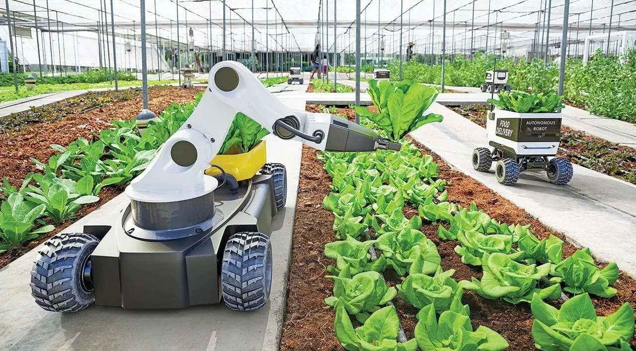 Çilek hasadında yeni dönem: Yapay zekâlı robotlar tarlaya indi