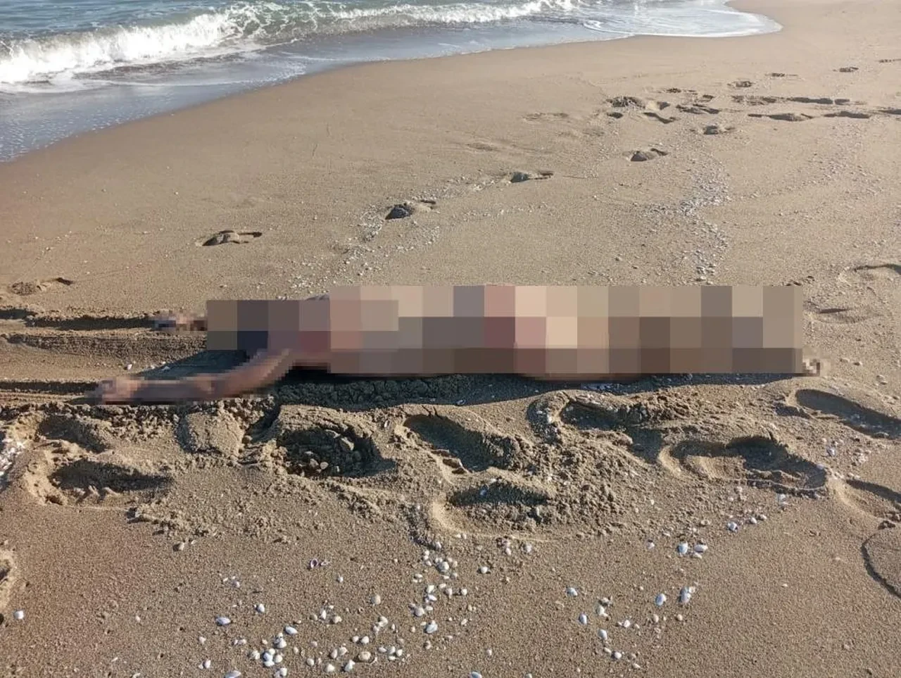 Sahile giden vatandaşlar dehşete düştü! Sakarya'da korkunç ölüm! 